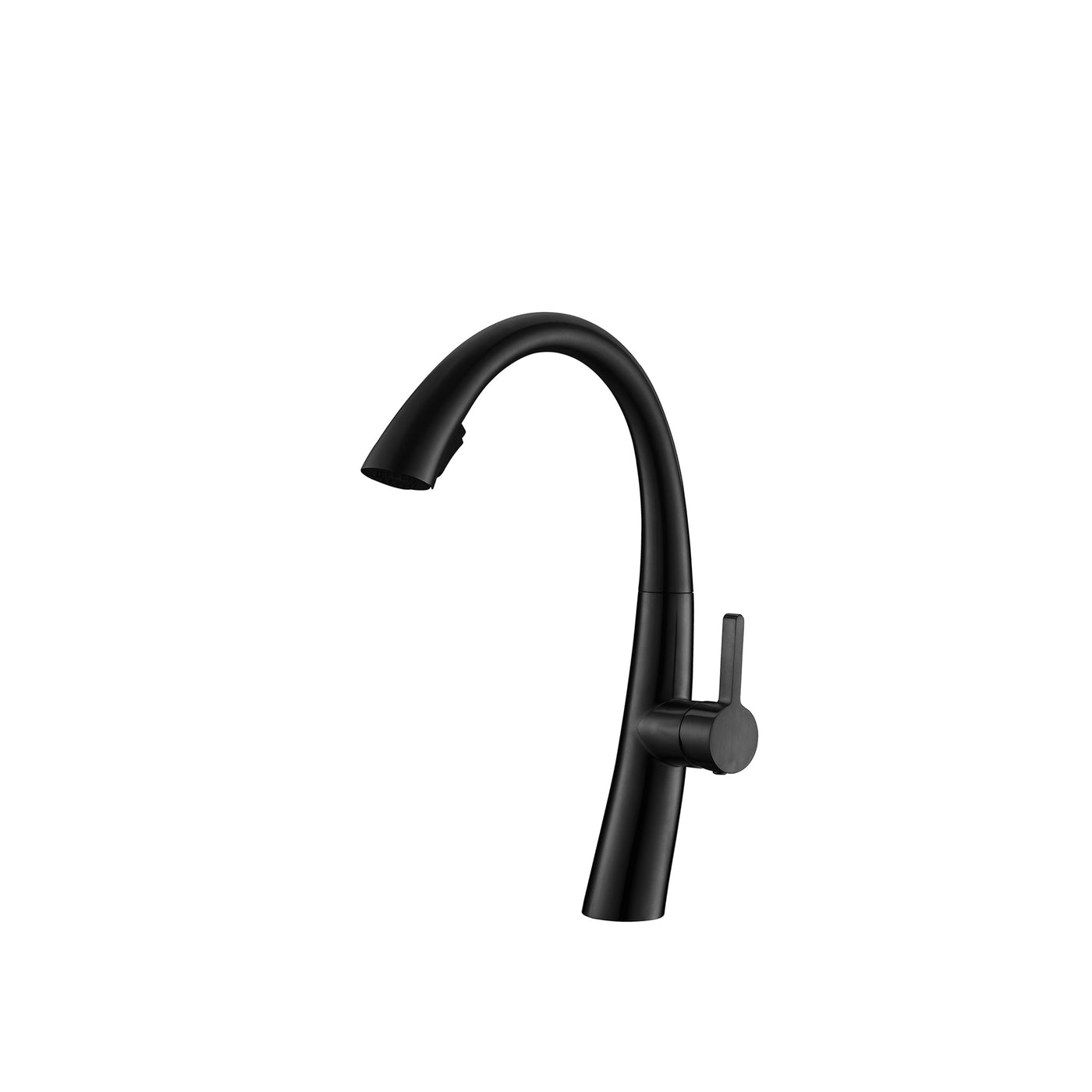 RIO™ GF402 Contemporary Style Single-Handle Kitchen Sink Faucet with Pull-Down Sprayer