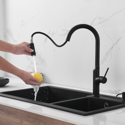 Single-Handle Kitchen Sink Faucet with Pull-Down Sprayer