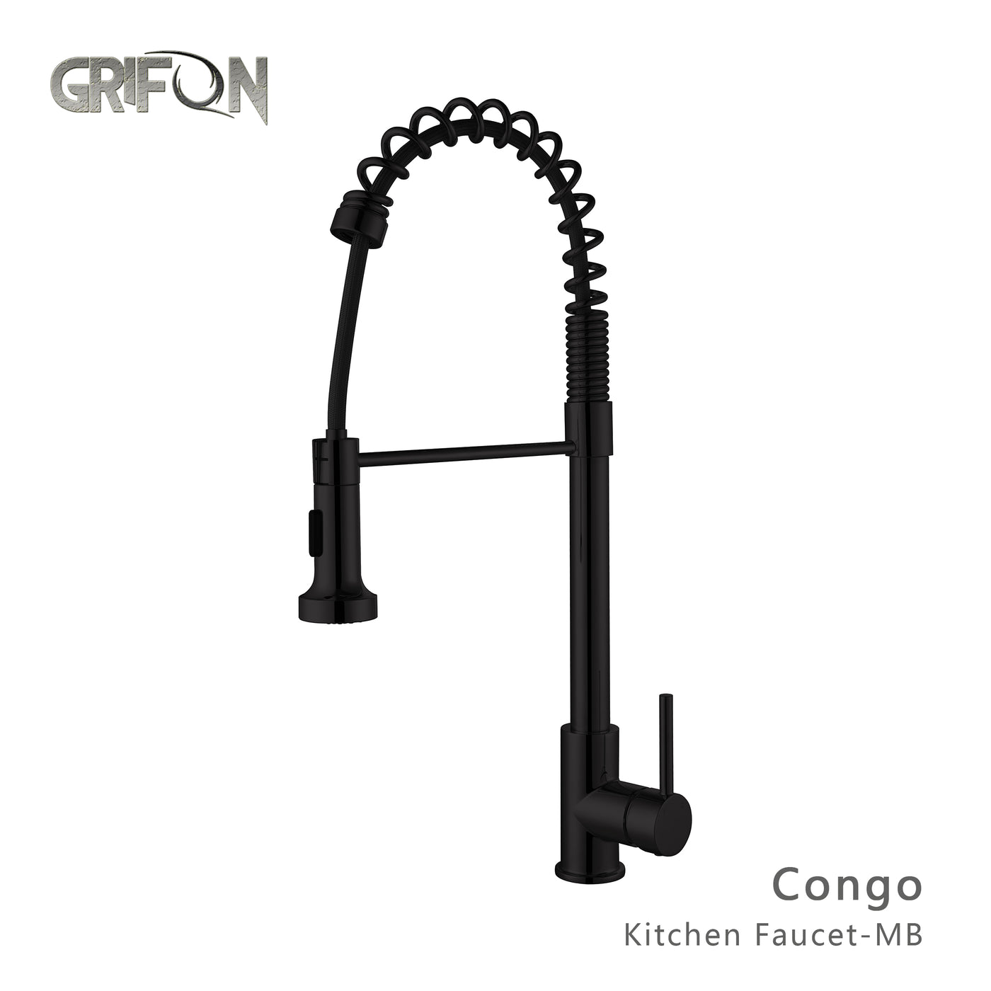 CONGO™ GF409 Commercial Style Single-Handle Kitchen Sink Faucet with Pull-Down Sprayer